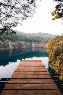 brown wooden footbridge near body of water