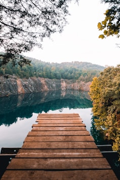 embracing humanity contact