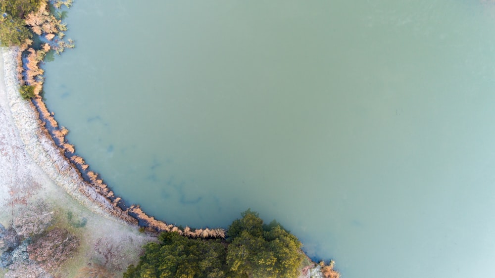 foto aerea dell'isola con gli alberi accanto allo specchio d'acqua