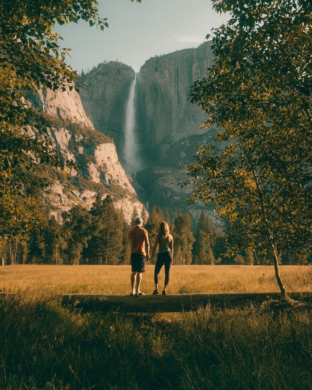 couple standing on tree trunk looking at field and forest
