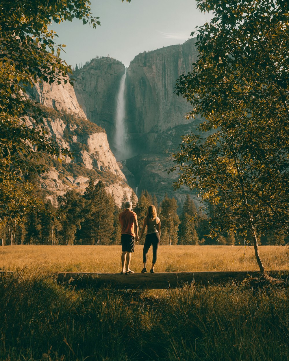 couple debout sur le tronc d’arbre regardant le champ et la forêt