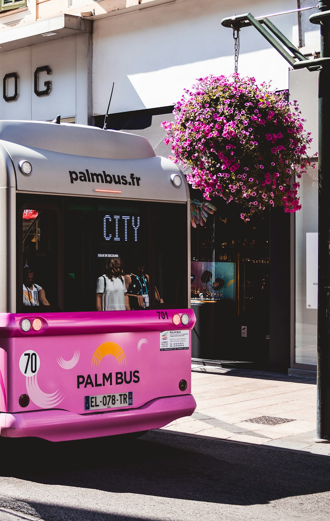 pink and gray Palm Bus on street