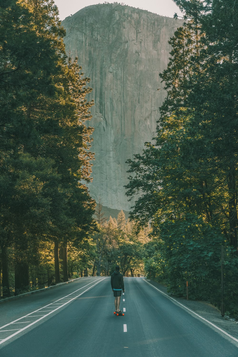 나무 사이의 아스팔트 도로에 서 있는 남자