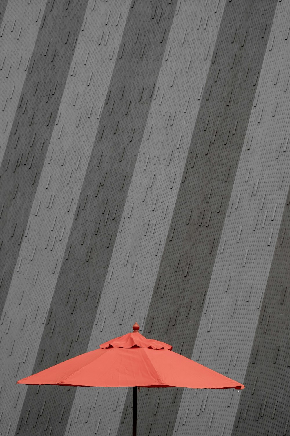 orange and black parasol near the gray wall