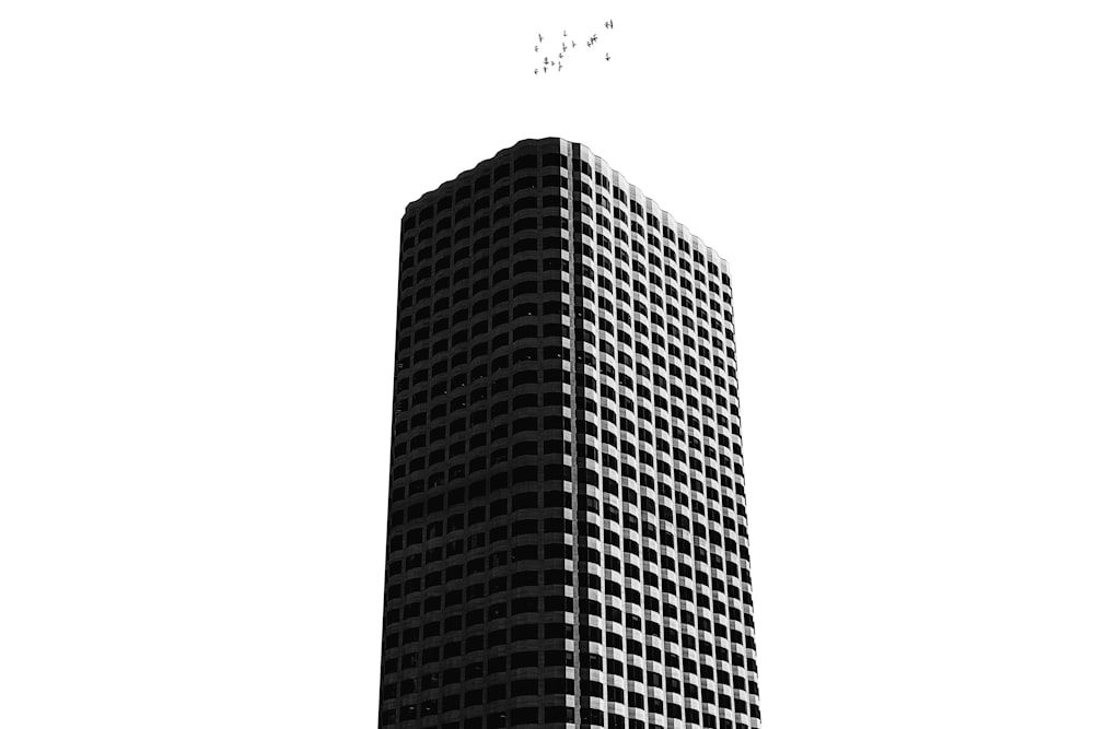 building illustration