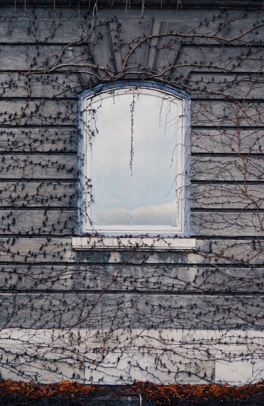 closed glass window in Buda Castle Hungary