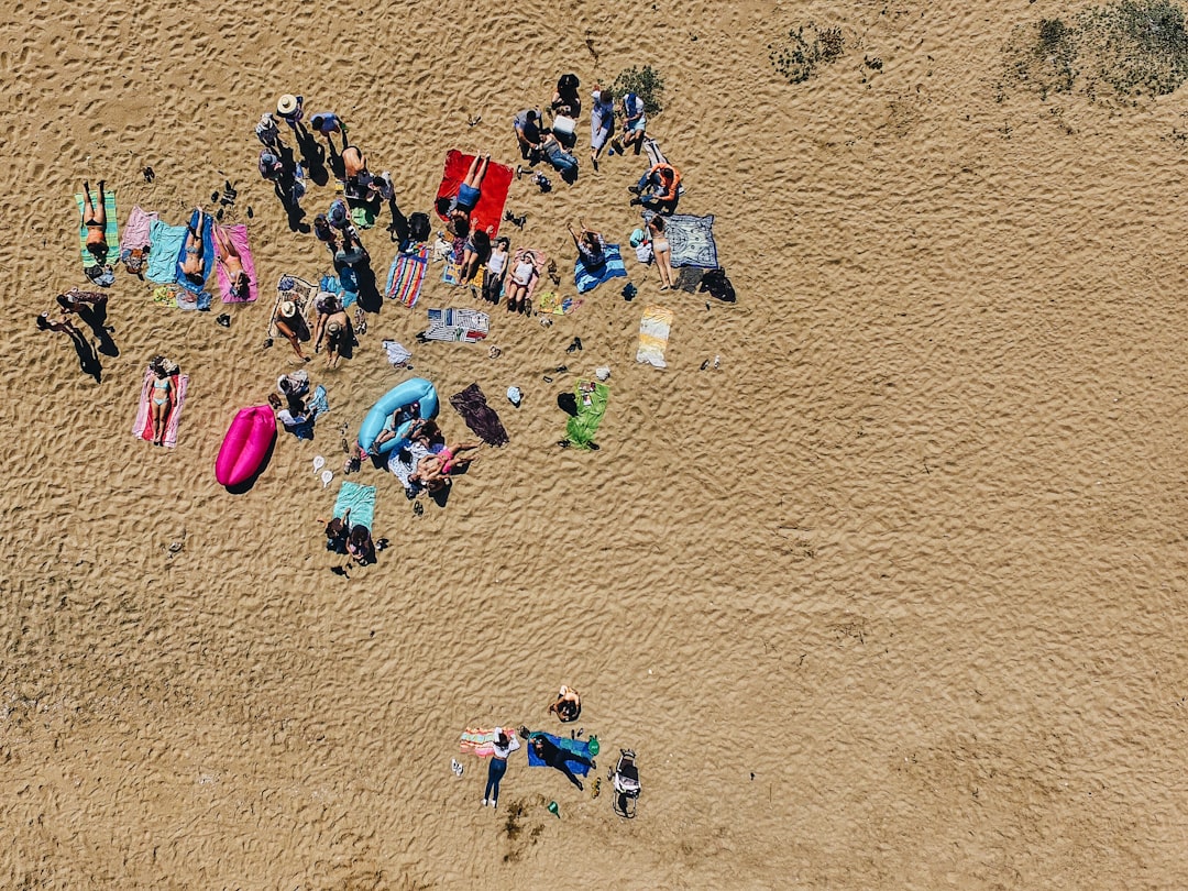 group of people sunbathing