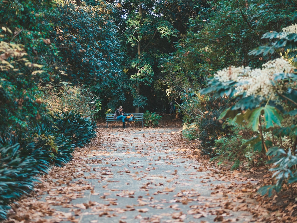 woman sits on blue bench in middle of trees during daytime