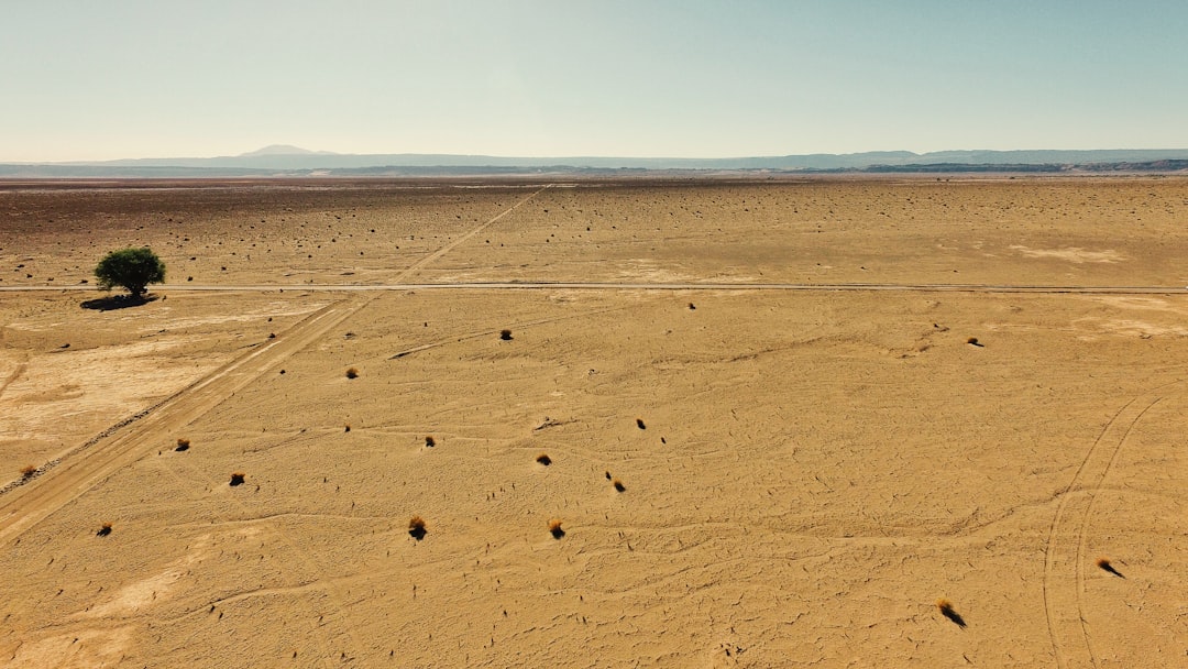 bird's-eye view brown desert