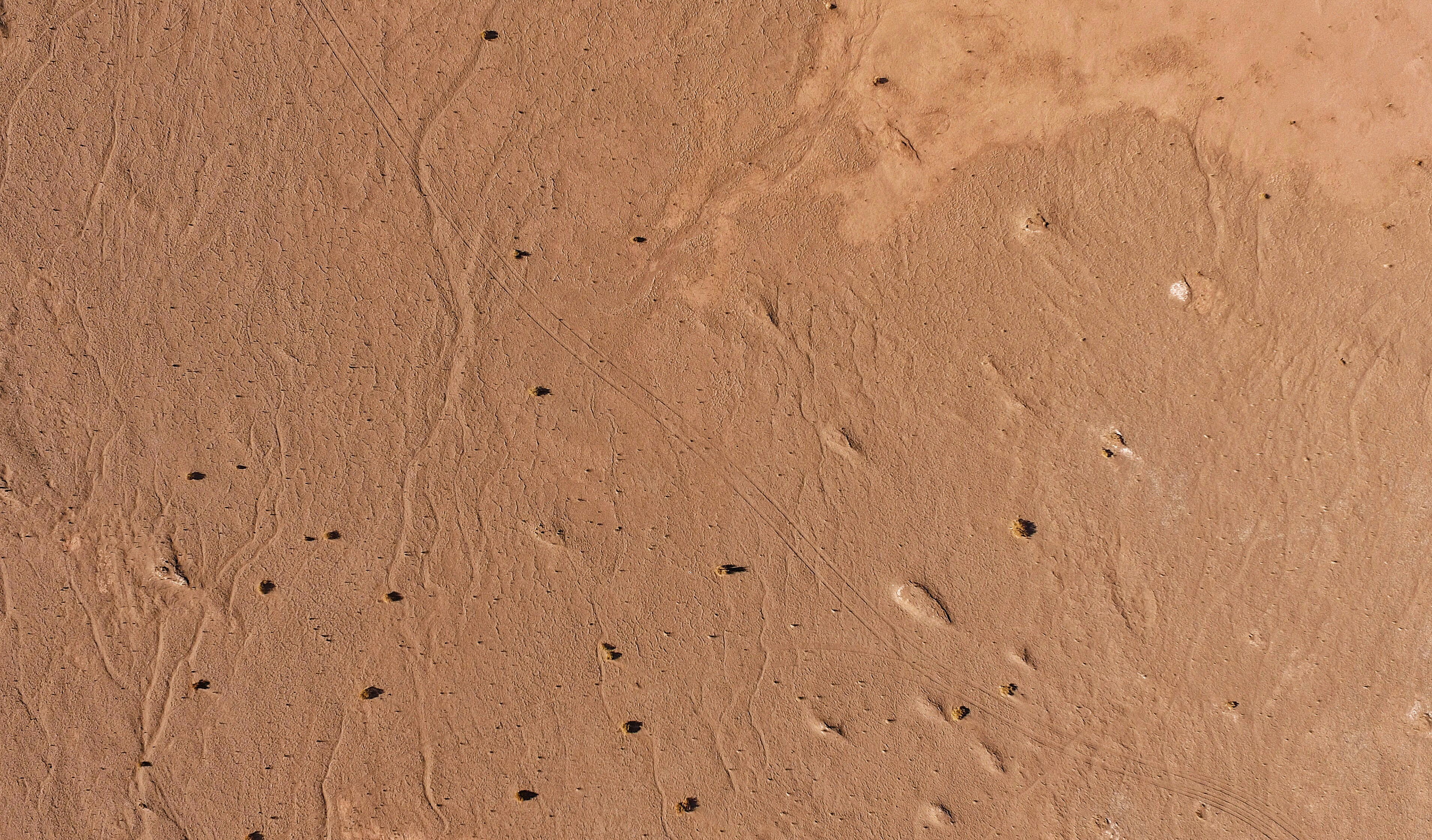 Photo by benjagremler