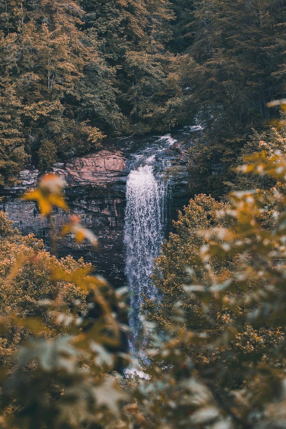 falls surrounded by green leaf trees at daytime