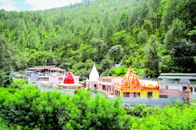 A colorful cluster of temple structures, primarily featuring red, orange, and white colors, nestled amidst a lush, green forest backdrop. The architecture displays traditional design elements with ornate decorations, against the serene and dense tree-covered hillside.