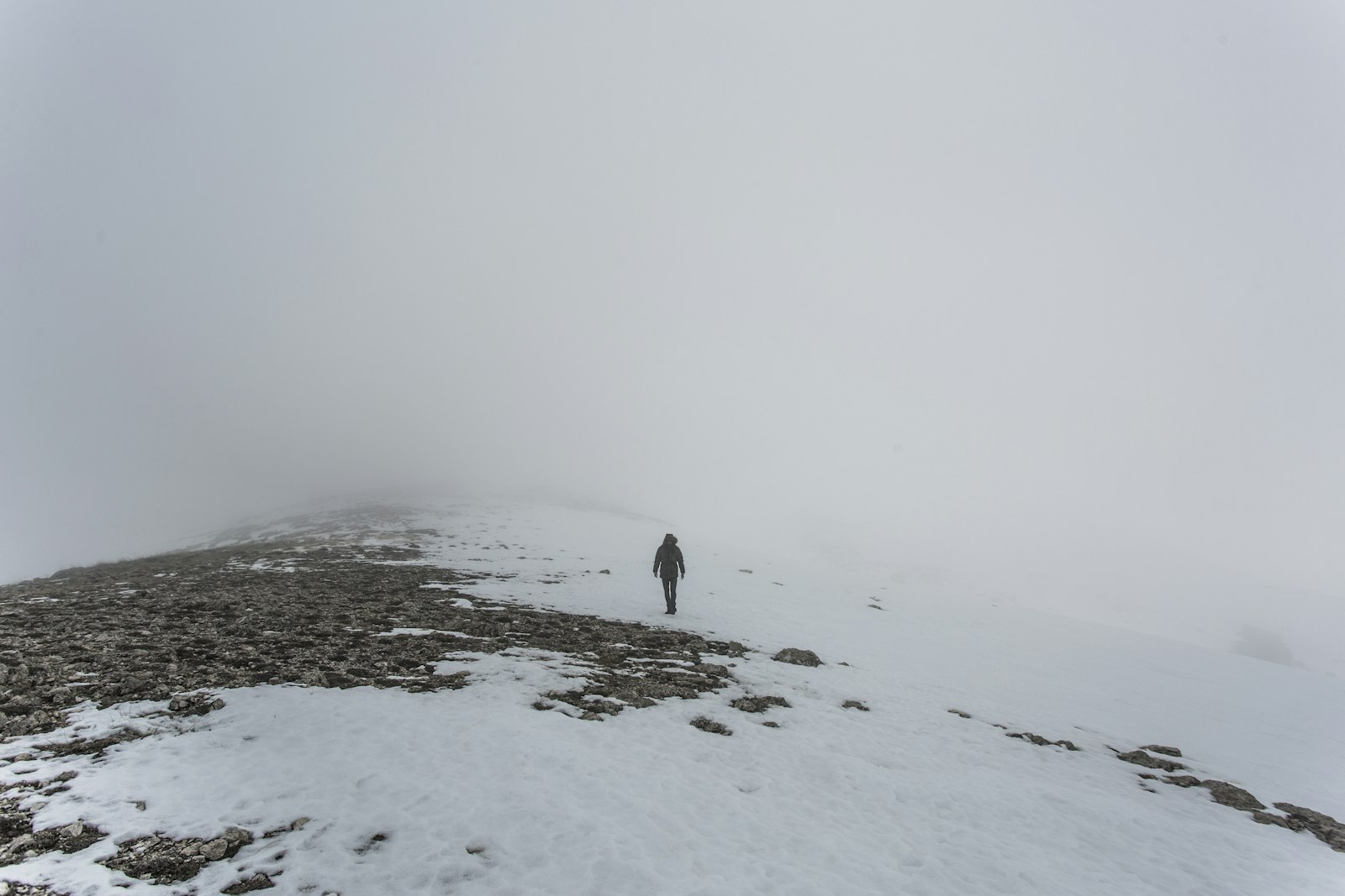 Canon EF 17-40mm F4L USM sample photo. Person standing on snowfield photography