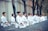 A group of people dressed in white martial arts uniforms are kneeling in meditation or focus. They are positioned in a row on an outdoor pathway surrounded by trees and a concrete wall.