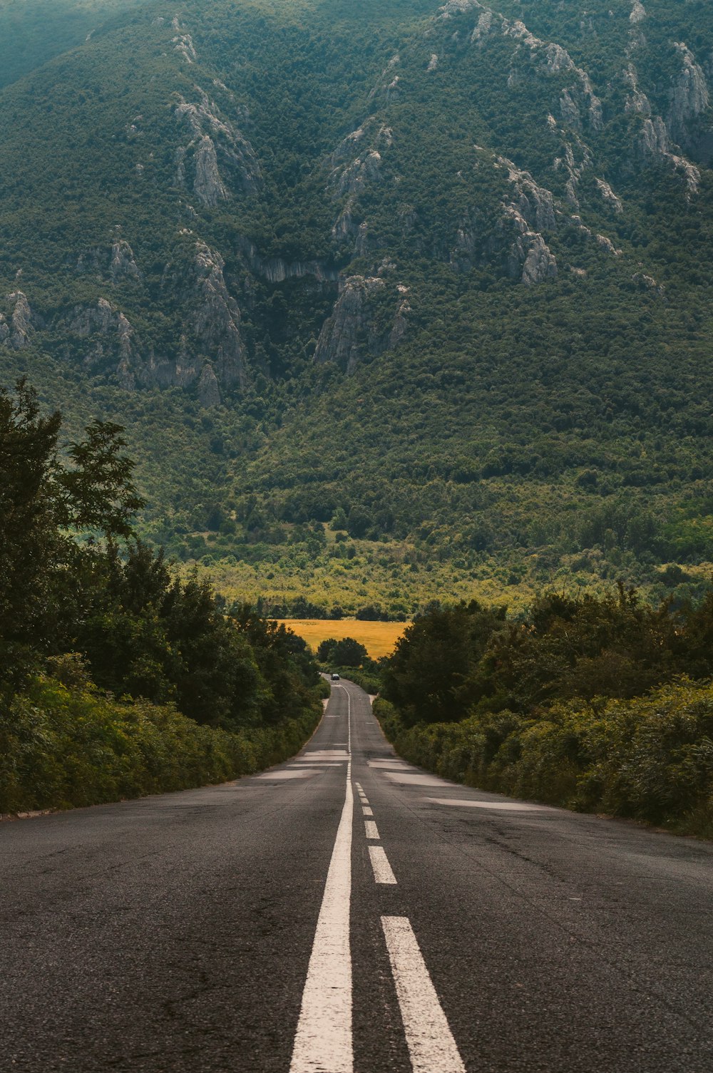 昼間の山へ向かう広い道