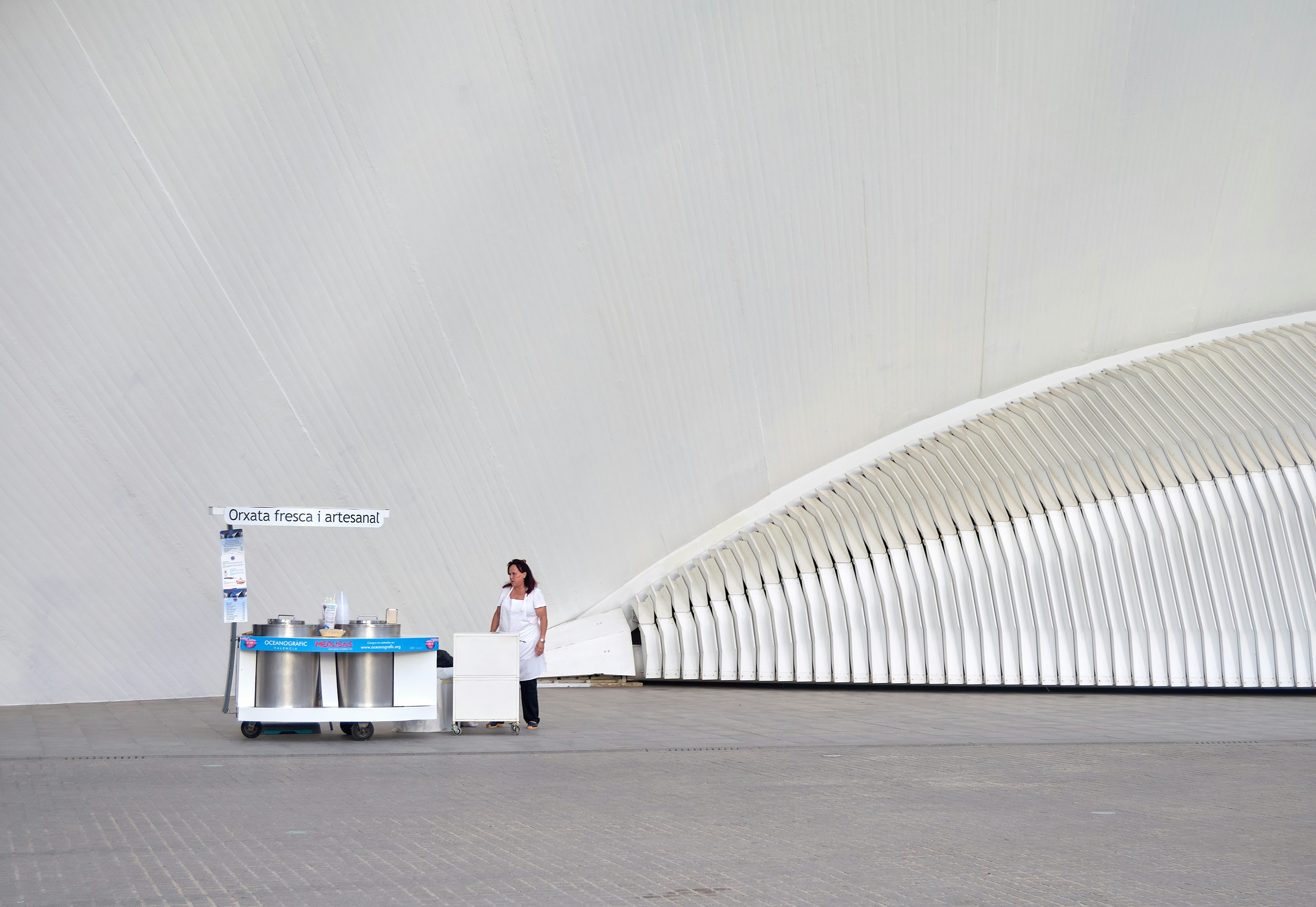 woman wearing white dress and black pants near stall fresh teams background
