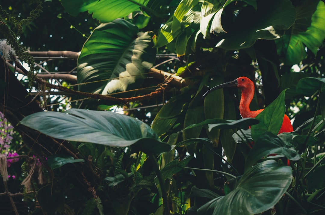 Jungle photo spot Aquarium of Genoa Italy