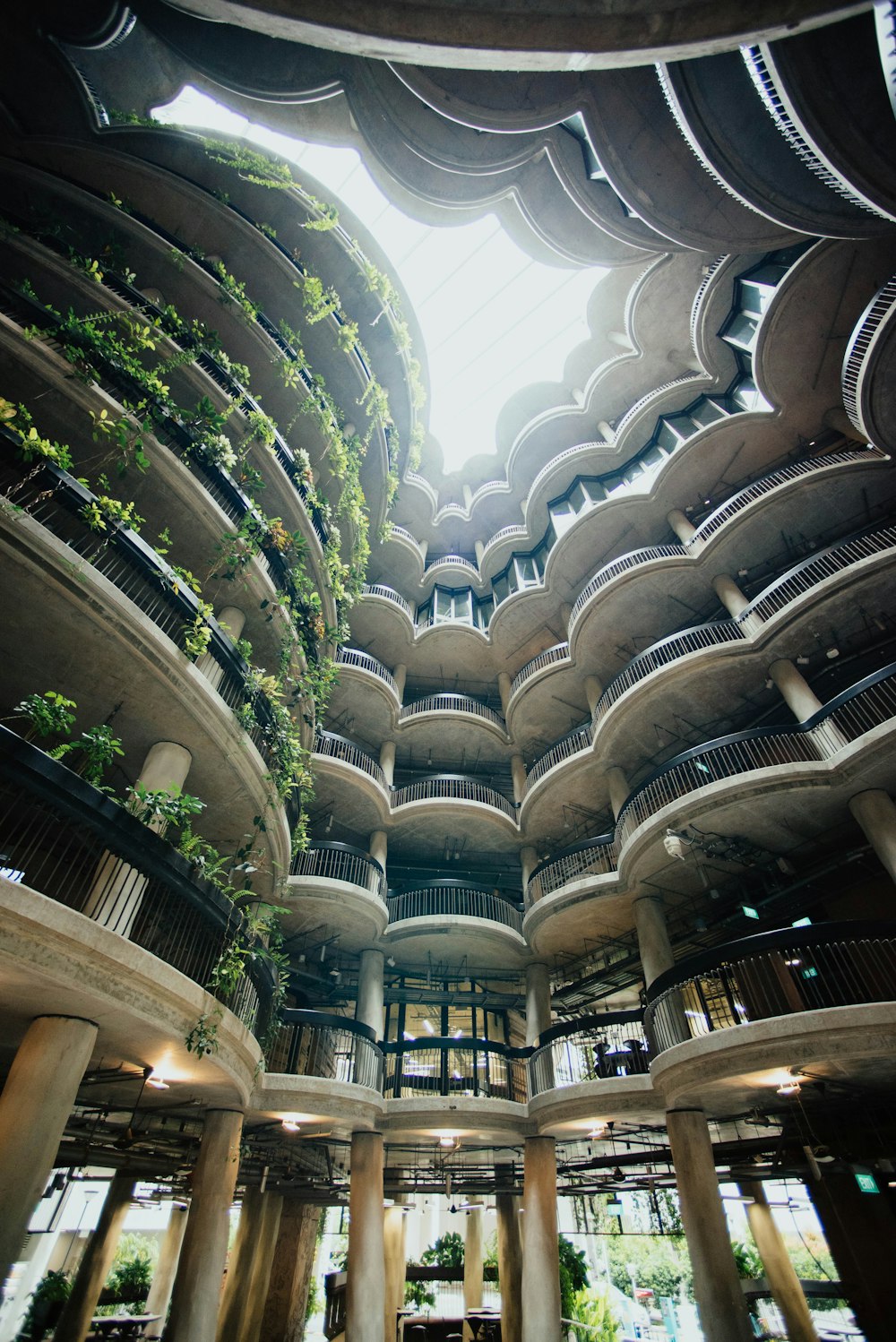 검은색 레일과 식물이 있는 갈색 건물의 로우 앵글 사진