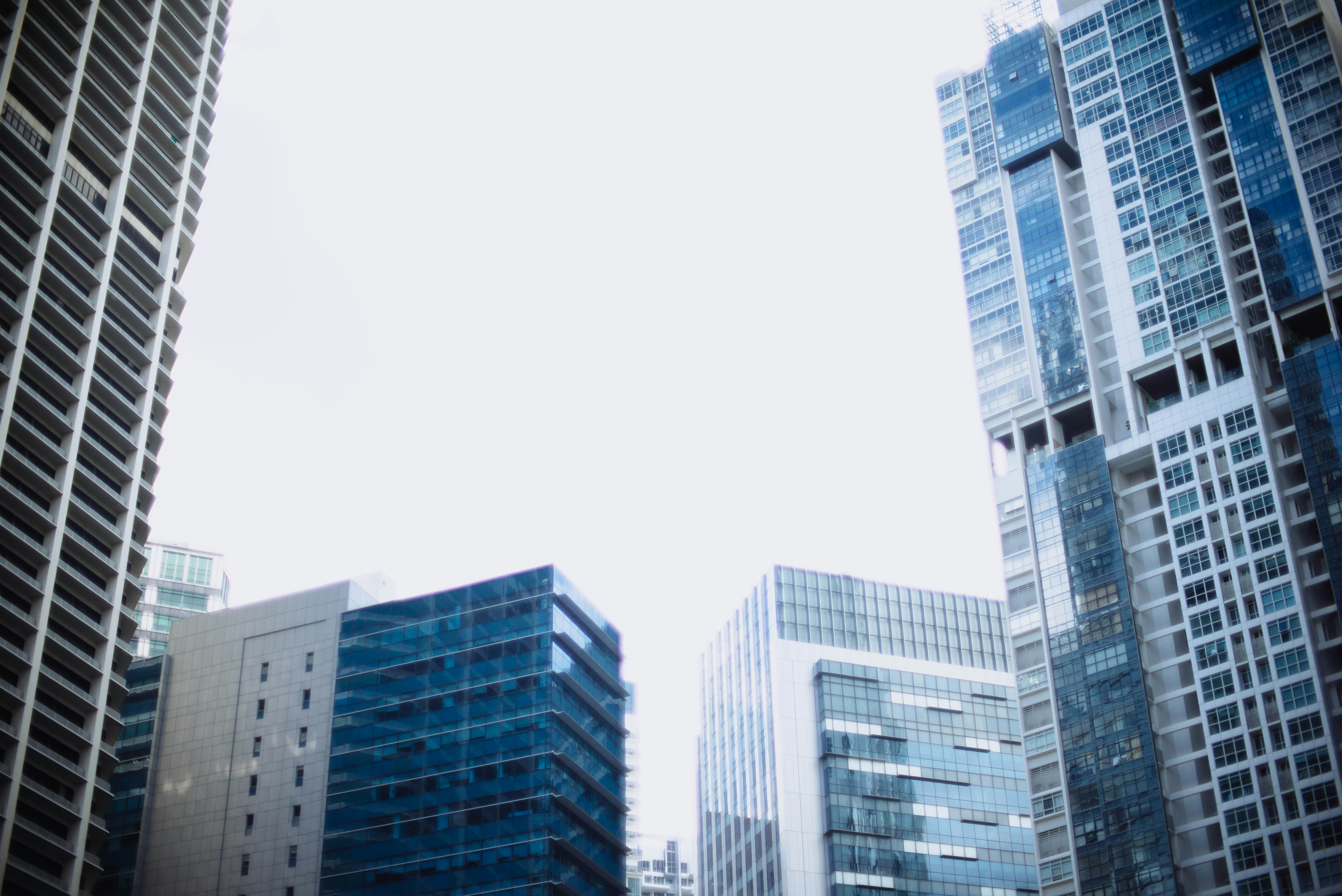 Photo by chuttersnap