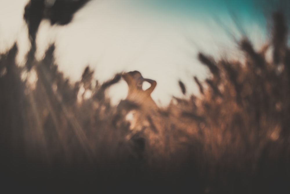 a blurry photo of a person in a field