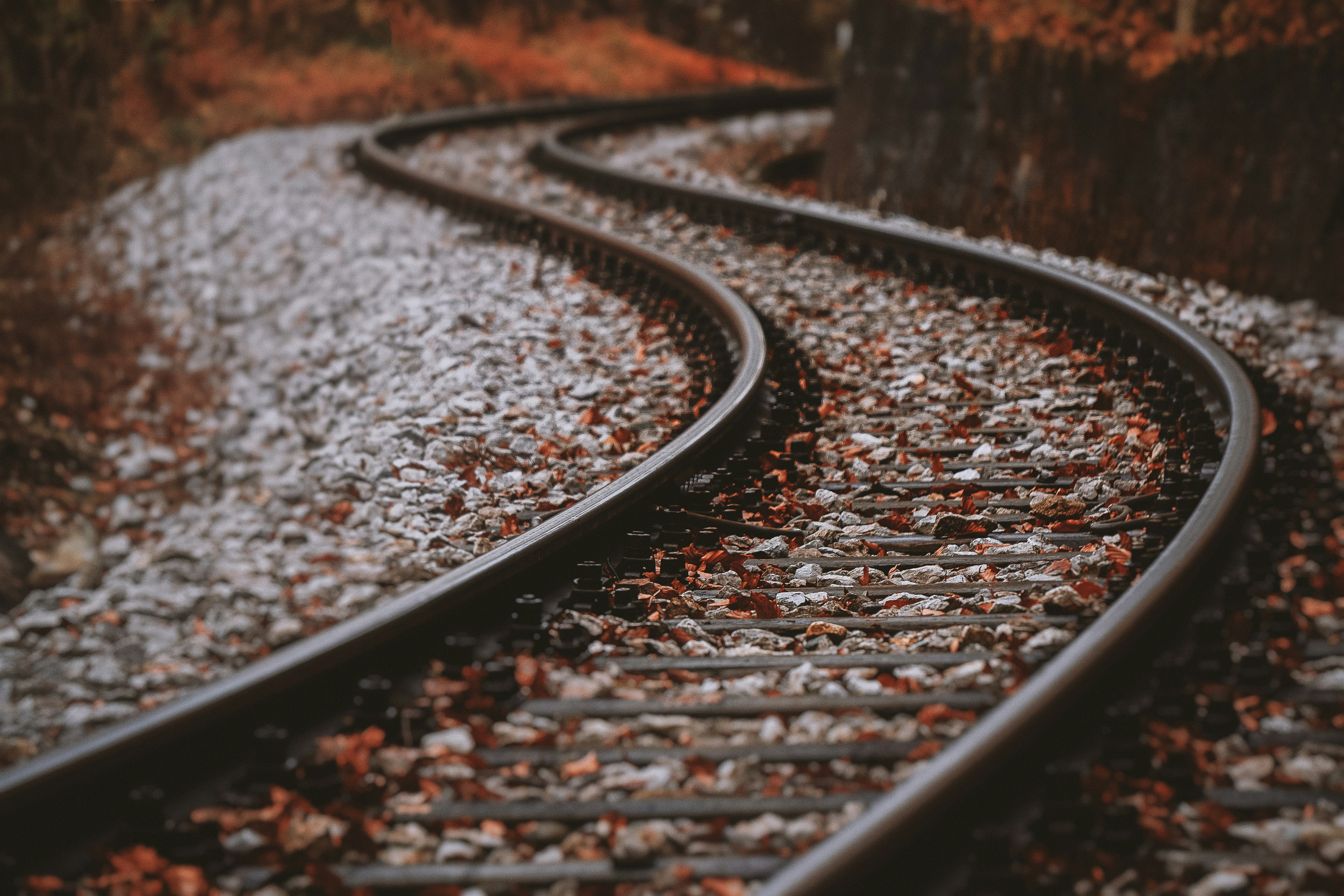 Un chemin de fer. | Photo : Unsplash