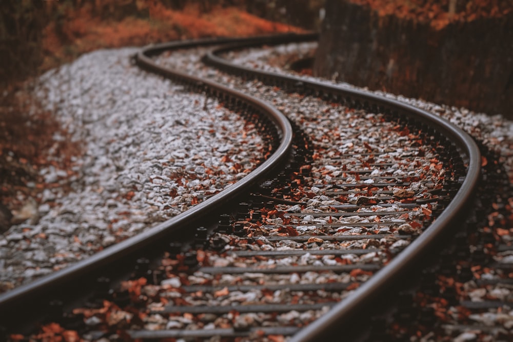 Fotografia de foco seletivo de ferrovia