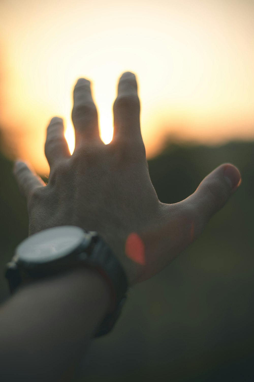 photo of person reaching out his hand