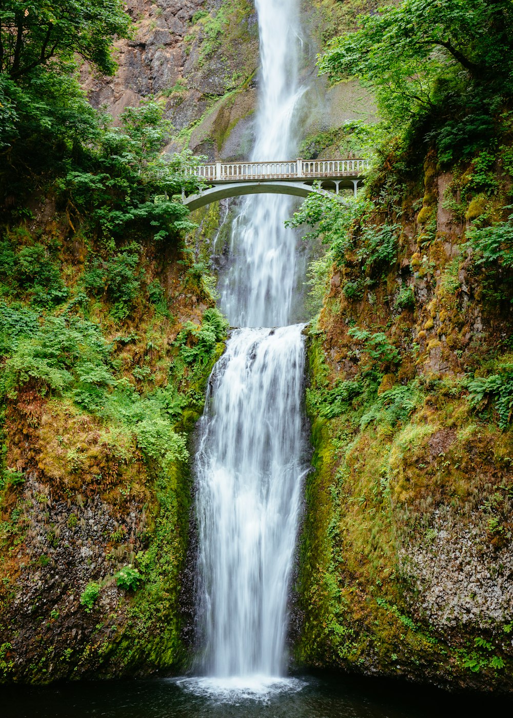 Cascadas en medio del bosque