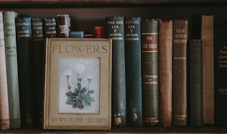 Flowers Shown to the Children book on shelf