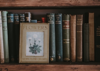 A collection of vintage books lined up on a wooden shelf. The book prominently displayed in front is titled 'Flowers Shown to the Children' with an illustration of flowers on the cover. The spines of the other books show textured and worn surfaces, and they vary in color and size, indicating age and use.