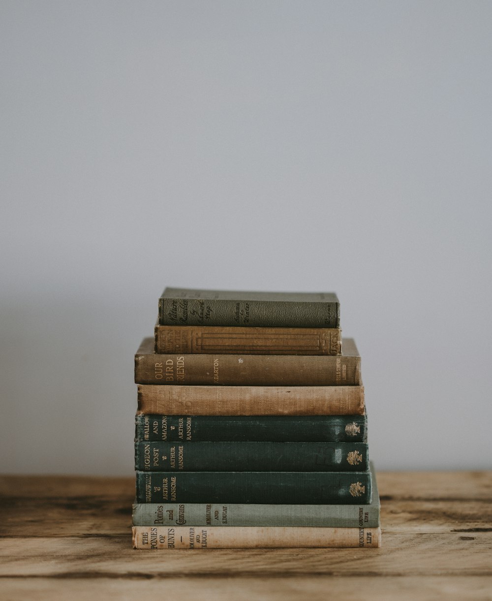 pile of Bible on brown surface