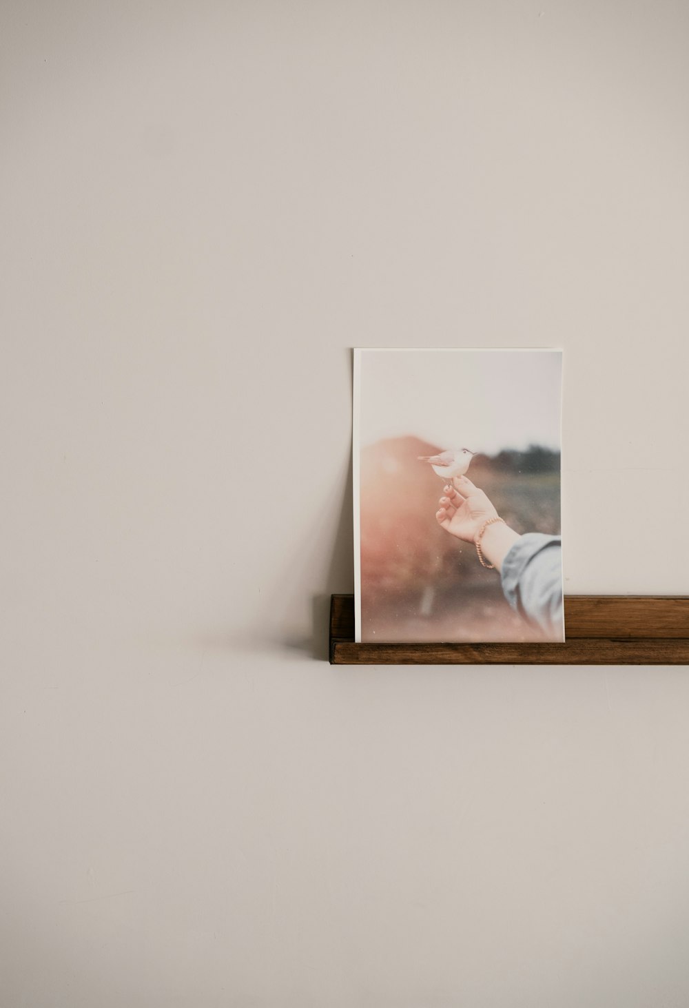 view of person with bird on her hand photo