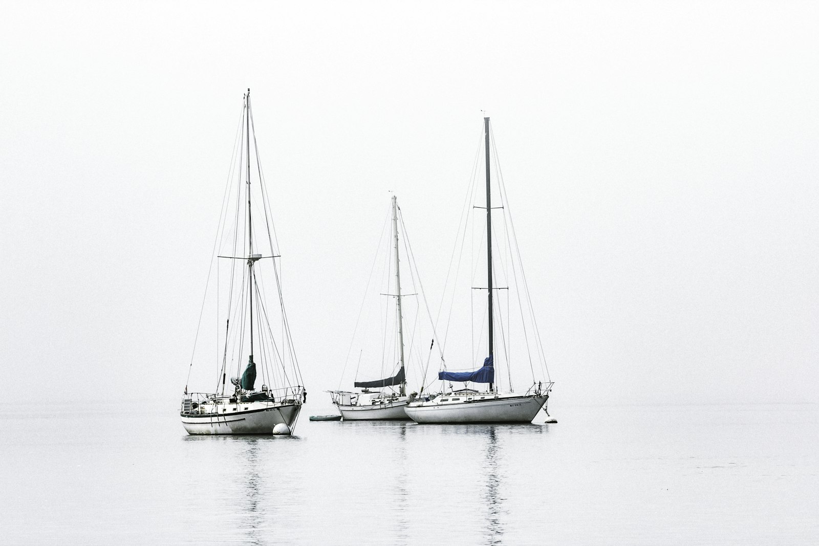 Canon EF 80-200mm f/2.8L sample photo. Three white boats on photography