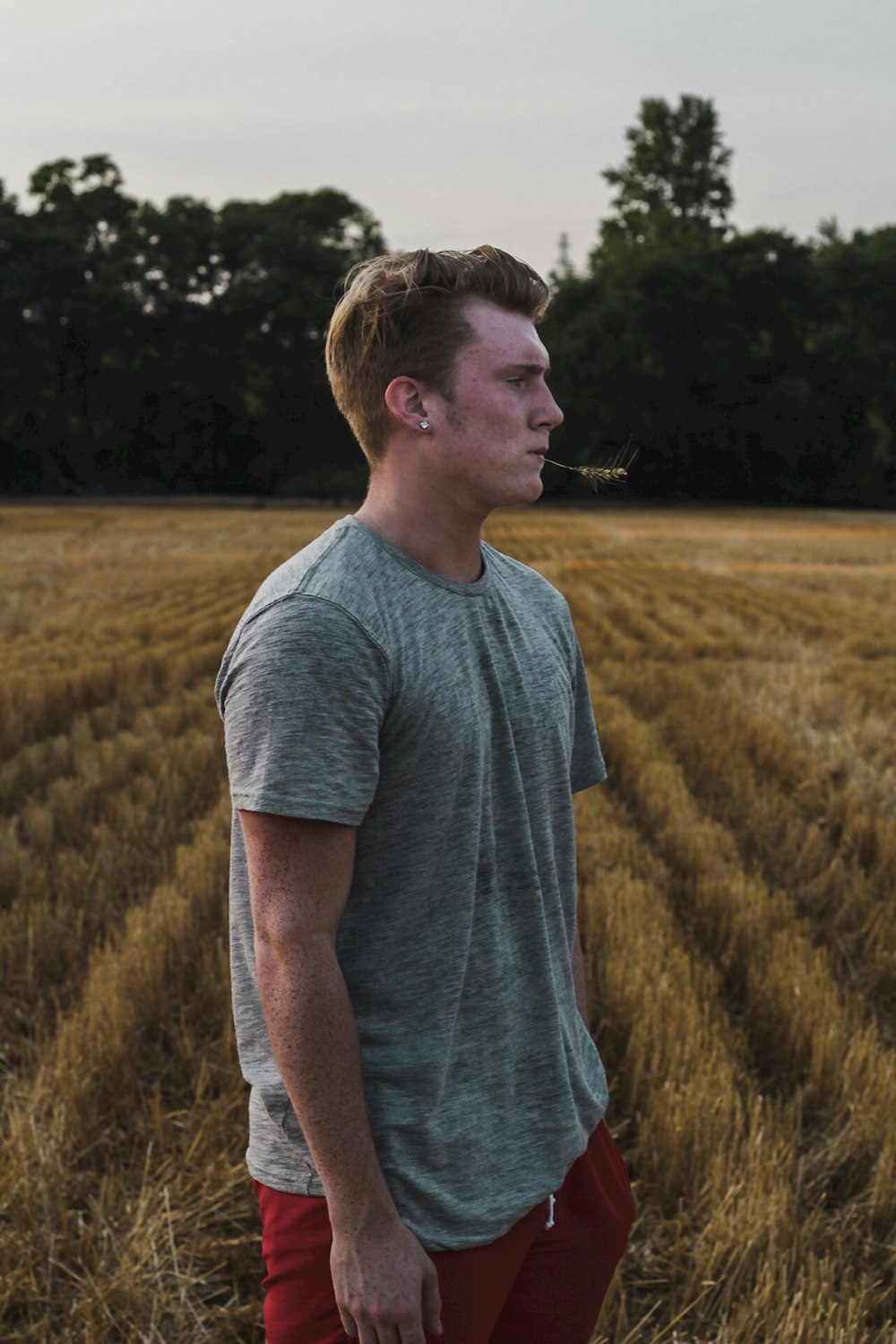 man in gray crew-neck shirt and red bottoms standing near wheat field