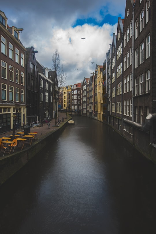 brown houses beside a river in Mata Hari Netherlands