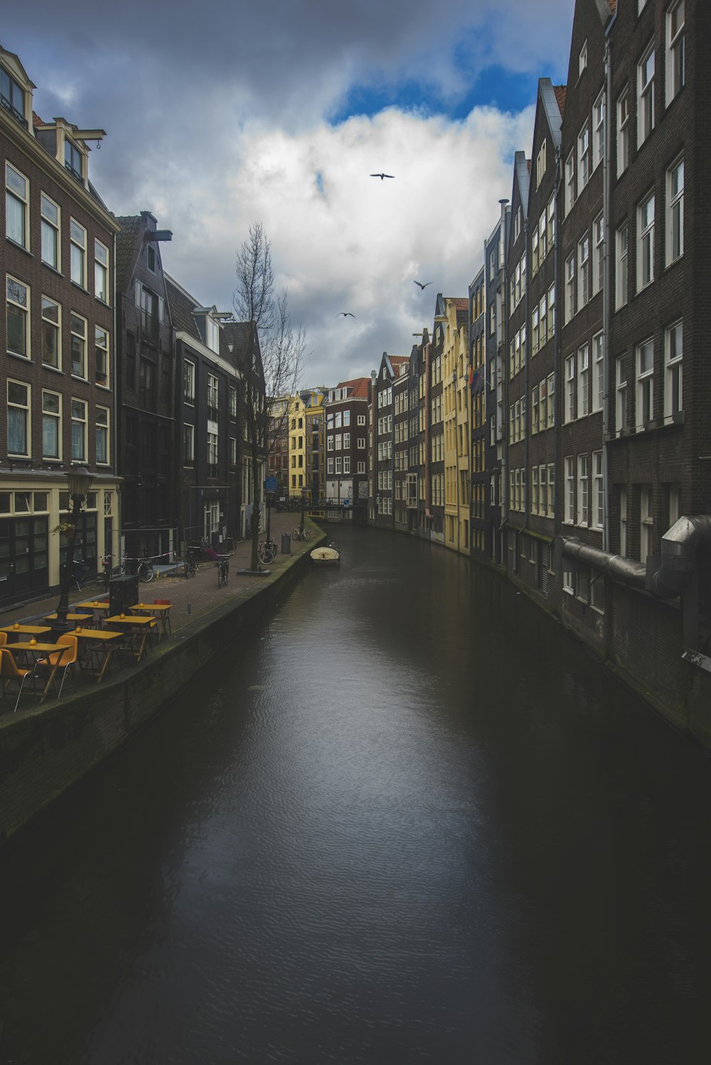 brown houses beside a river