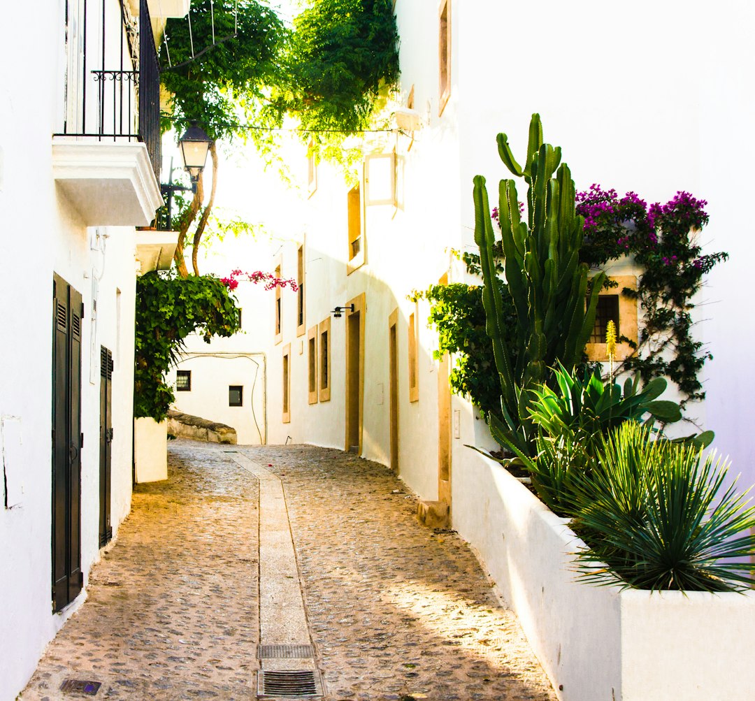 Town photo spot Dalt Vila Islas Baleares