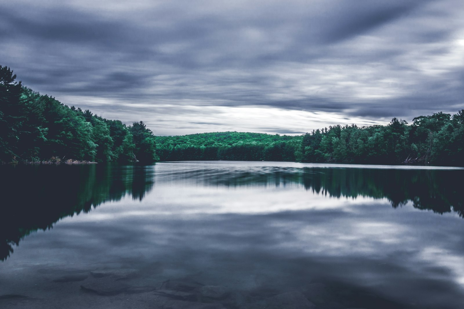 Sony a6000 + Sigma 19mm F2.8 EX DN sample photo. Green trees reflected on photography