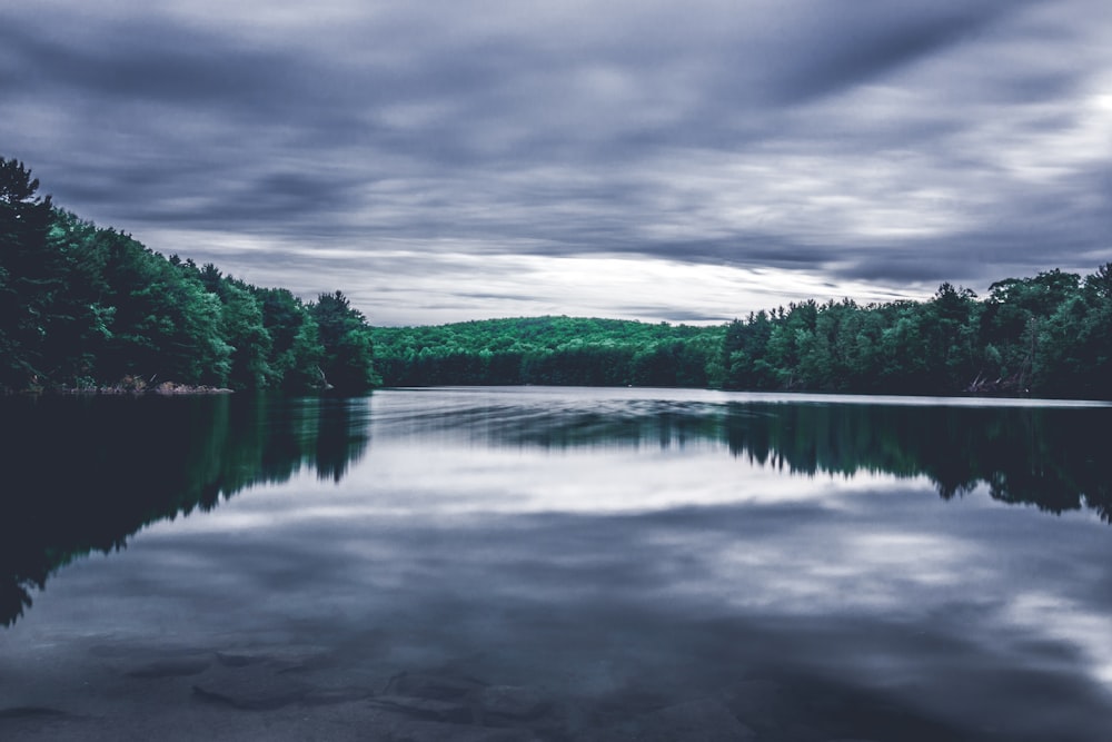 green trees reflected on water