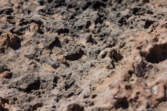 A close-up view of a rough, textured surface that appears to be natural rock or soil. The surface consists of uneven terrain with various shades of brown and grey. It features small indentations and ridges throughout, creating an irregular pattern.