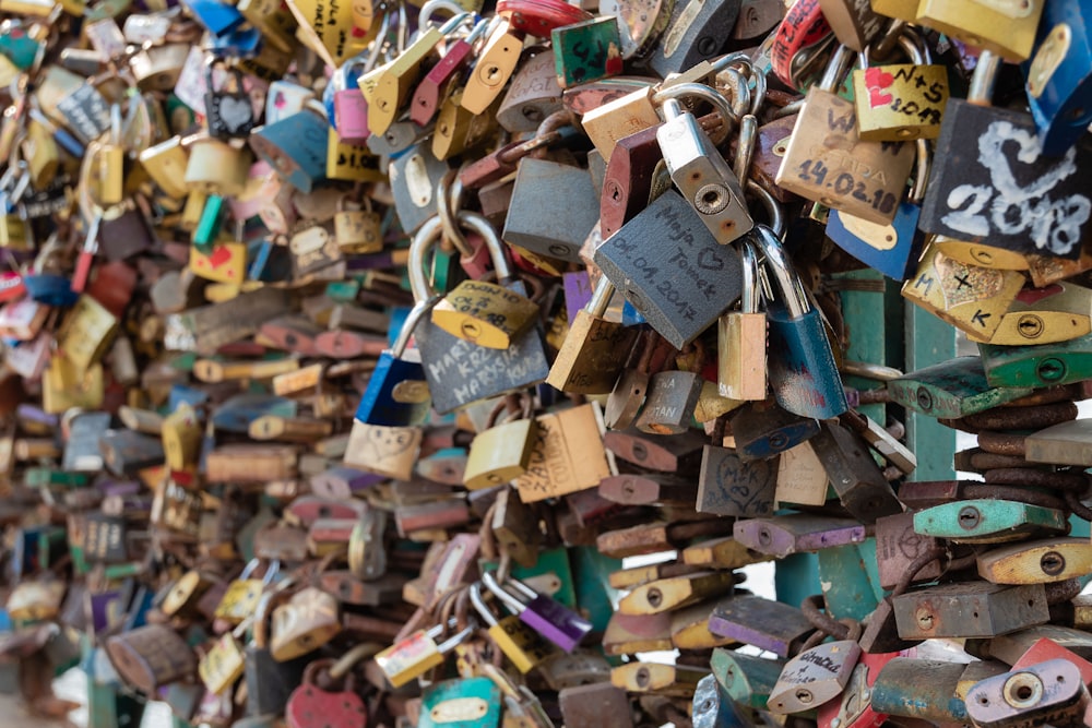 assorted locked padlocks