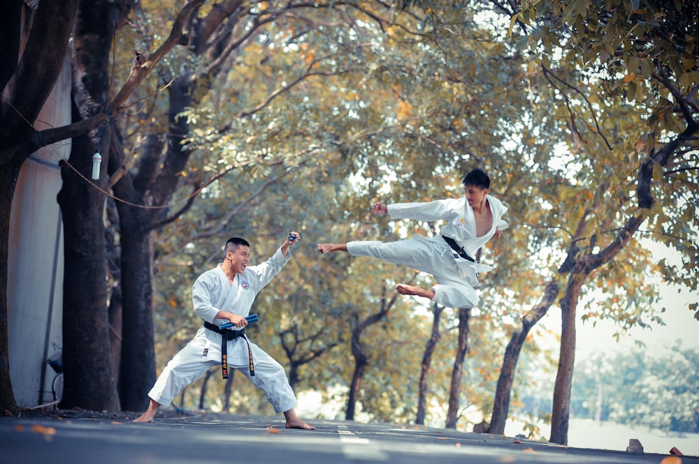 Zwei Männer machen tagsüber Karate in der Nähe von Bäumen
