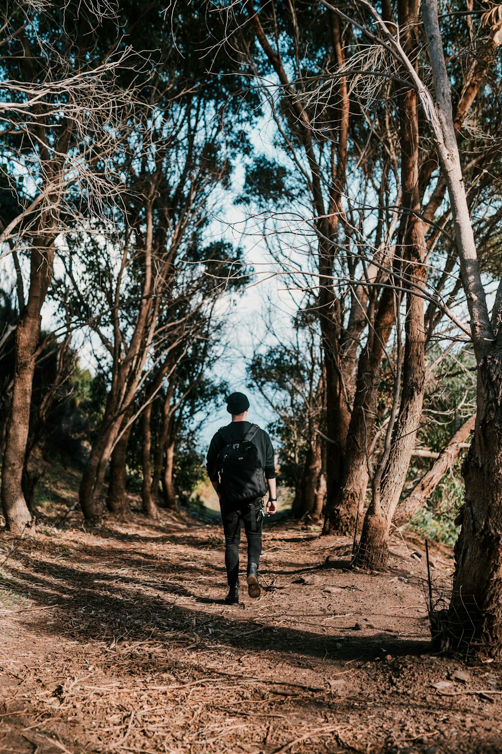 man walking in between of tall trees