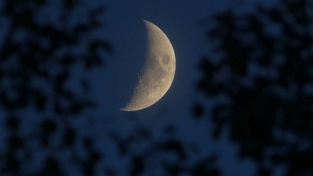 crescent moon photo