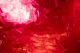 Close-up of a photonic crystal lattice illuminated with vibrant colors.