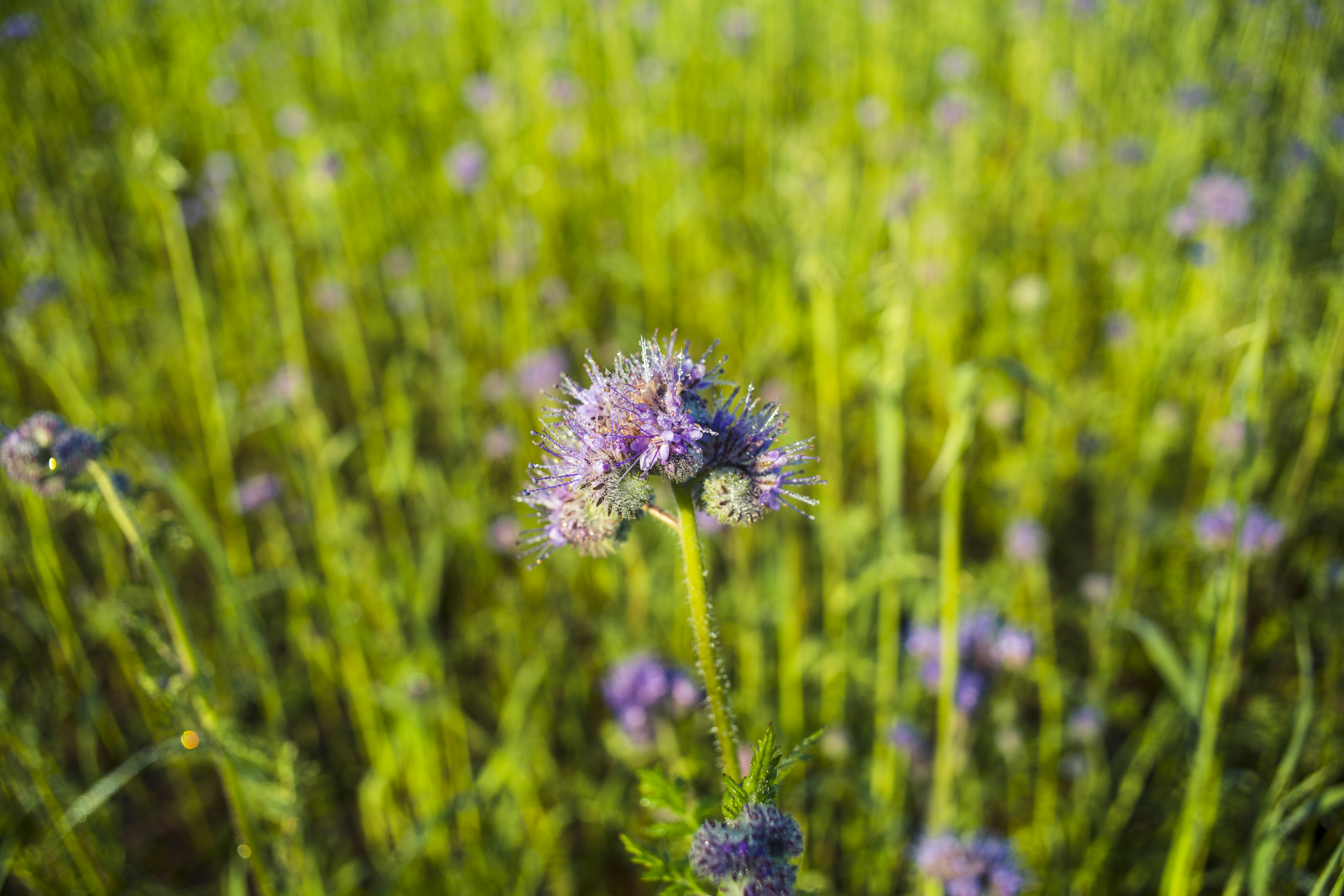 Germany Hausen Wide Angle And Analog Hd Photo By Markus Spiske