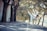 A person wearing a white martial arts uniform performs a high kick on a tree-lined road. The trees cast shadows on the asphalt, and fallen leaves are scattered around. The setting seems calm and serene, with a focus on precision and balance in the martial arts pose.