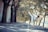 A person wearing a white martial arts uniform performs a high kick on a tree-lined road. The trees cast shadows on the asphalt, and fallen leaves are scattered around. The setting seems calm and serene, with a focus on precision and balance in the martial arts pose.
