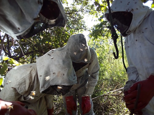Members of the North Shore Beekeepers Association inspecting a hive during a sunny afternoon meeting.