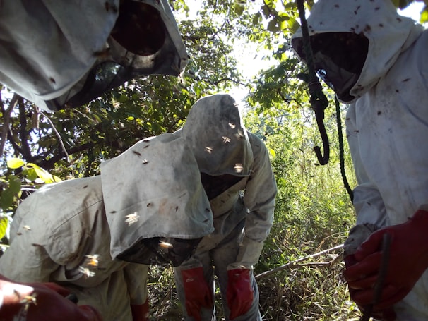 A group of beekeepers in protective gear tending to hives under the bright Volta sun.